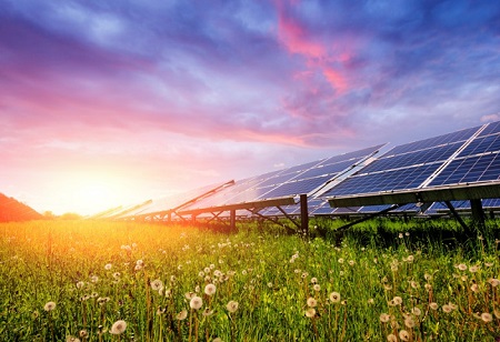 Two new bus terminuses in Chennai to be solar power hubs